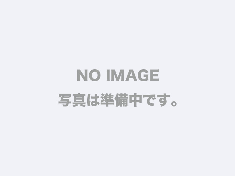 いすゞ ギガ  平ボディ QKG-CYJ77A H25
